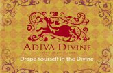 Adiva Divine Training Presentation QNET 05112010