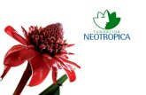 Neotropica Foundation -  English Presentation