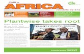 Africa newsletter 2011