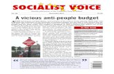 Socialist Voice December