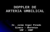 DOPPLER DE ARTERIA  UMBILICAL