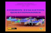 Evaluation common questionnaires