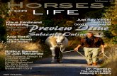 Free Preview Horses For LIFE Vol 49 Just Say YES!