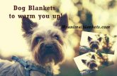 Dog blankets to warm you up
