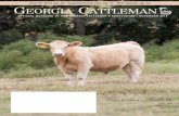 Georgia Cattleman November 2013