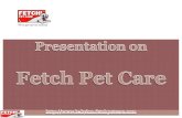 Fetch Pet Care- Offers Full Range of Pet Care Services