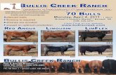 2011 Bullis Creek Ranch "Generations of Predictability 11" Production Sale