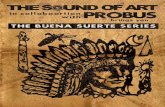 The Buena Suerte Series Catalog