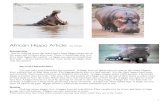 Hippo Pages