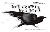 Blackbird - Production Programme