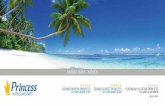 Princess Hotels - Riviera Maya - Hand Brochure
