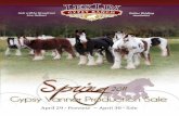 Spring 2011 Gypsy Vanner Production Sale Catalog
