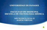 Album Virtual de Microbiologia II