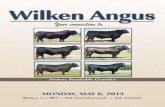 Wilken Angus Catalog 2013