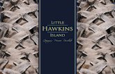 Little Hawkins Island Final