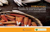 México:una década de resistencia socialcontra el maíz transgénico