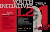 Action 1 - Youth Initiatives