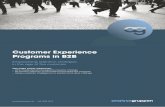 Customer experience programs in b2b - Analysegruppen A/S whitepaper 2014