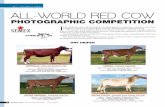 International red cow photo competition