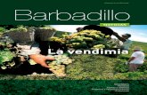 Revista BarbadilloCo / nº 8