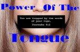 Power of The Tounge