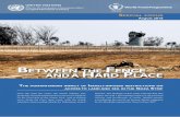 O impacto humanitário das restrições de Israel, sobre o acesso por terra e por mar, a Gaza | 08/2010