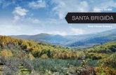Santa brigida's granary for sale
