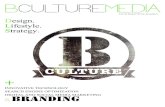 B Culture Media Media Kit