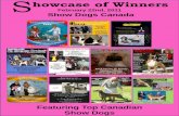 Showcase of winners February 22nd 2011