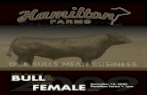 Hamilton Farms 15th Annual Bull & Select Female Sale