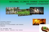 Climate change adaptation component