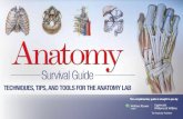 2012 Anatomy Survival Guide