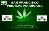 San Francisco Medical Marijuana