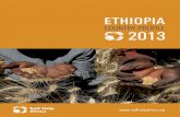 Self Help Africa - Ethiopia 2013