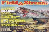 Field&Stream (May 1981)