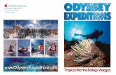 Odyssey Expeditions Tropical Marine Biology Voyages