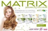 Matrix In-Store Promotions Nov - Dec 2011