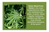 Detox Weed - Detox Weed At Home