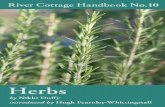 Herbs: River Cottage Hanbook No. 10