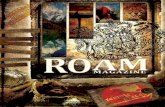 ROAM: Remote Places