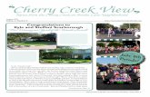 Cherry Creek on Brodie Ln. - August 2011