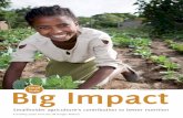 Smallholder Agriculture’s contribution to better nutrition