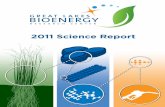 Great Lakes Bioenergy Research Center 2011 Science Report