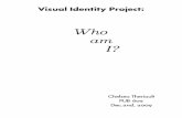 Design: Visual Identity Presentation