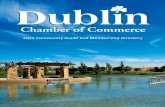 Dublin Chamber Guide 2011