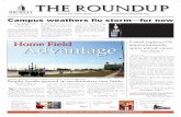 The Roundup Edition 2 (November 2009)