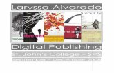 Digital Publishing Portfolio 2008