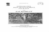 Integrated Pest Management Package For Jackfruit, NCIPM