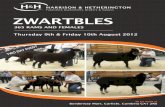 Zwartbles Sheep Show and Sale