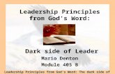 405 B Dark side of Leaders